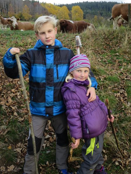 gal/2016/19 Sumava Kocicov/IMG_4711.JPG